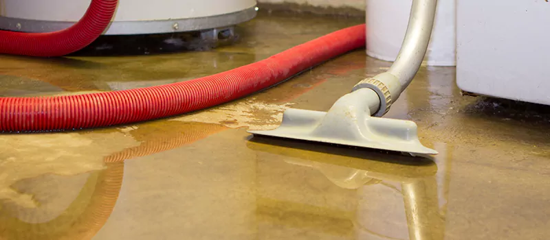 Professional Sewer Backup Cleanup Services in Churchville, Brampton