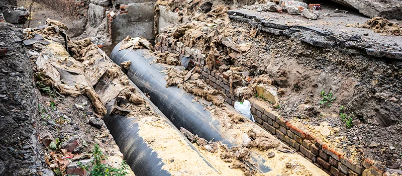 Commercial Sewer Tree Roots Damage Solutions in Churchville, Brampton