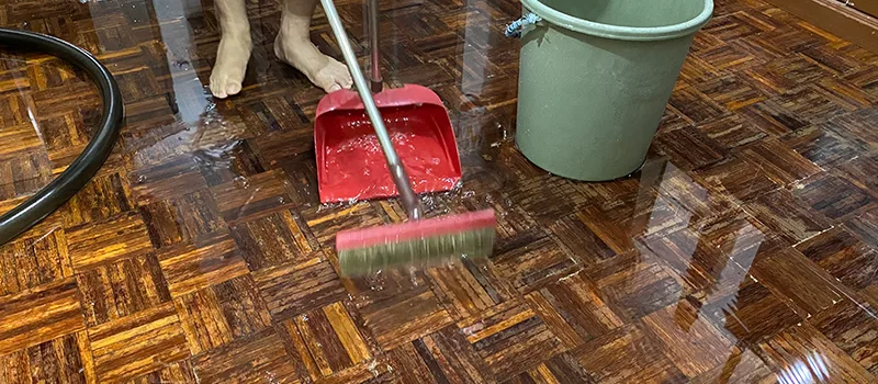 Water Removal And Restoration Services in Churchville, Brampton