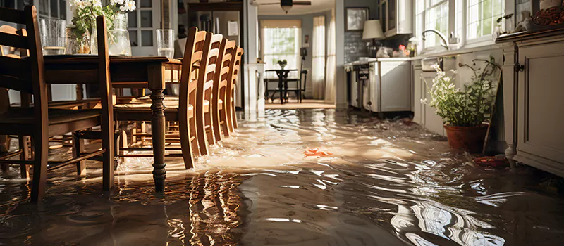 Flooded House Help Near Me in Churchville, Brampton