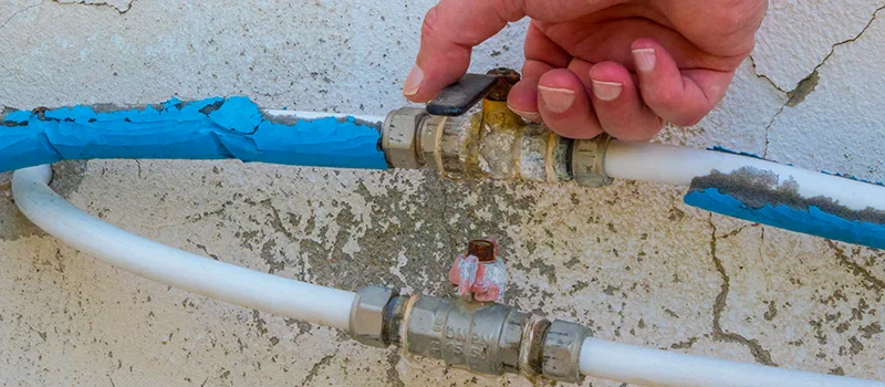 Ceiling Water Damage Repair in Churchville, Brampton