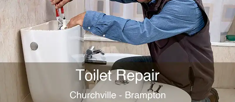 Toilet Repair Churchville - Brampton